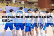 欧洲足球五大联赛-百度百科,欧洲足球五大联赛之一