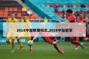 2014中超联赛标志,2014中超冠军